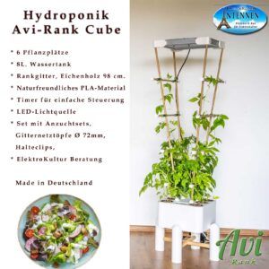 AVI Rank Hydrokultur